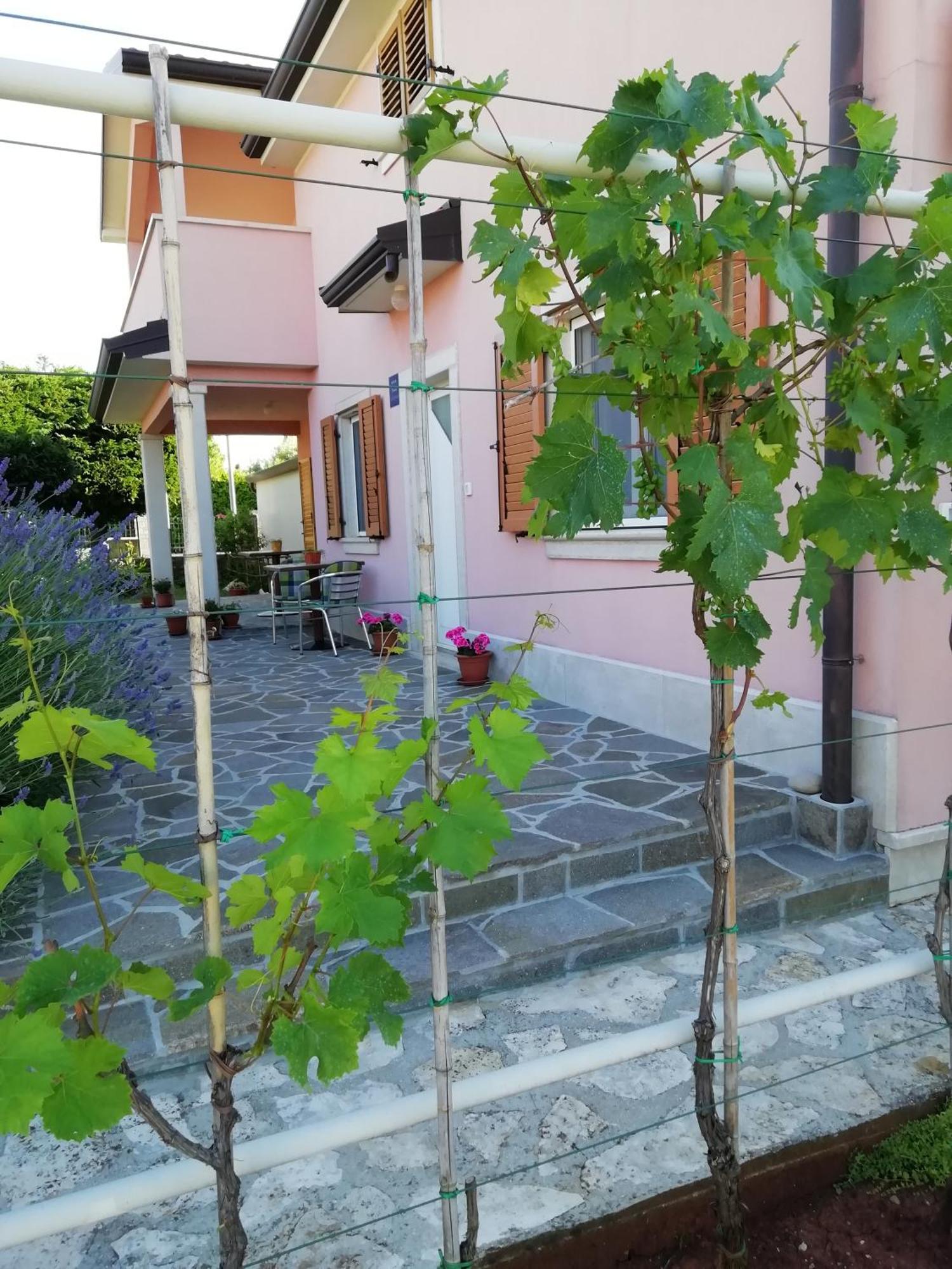 Apartmani Vesna Buje Kültér fotó